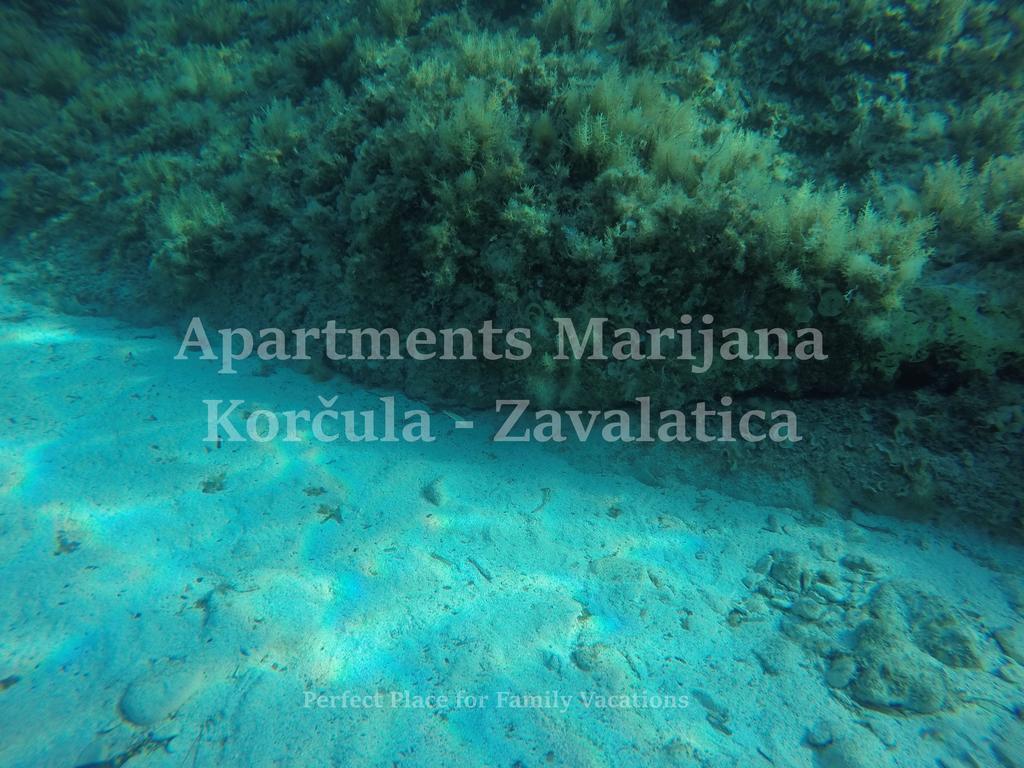 Apartments Marijana Zavalatica Buitenkant foto