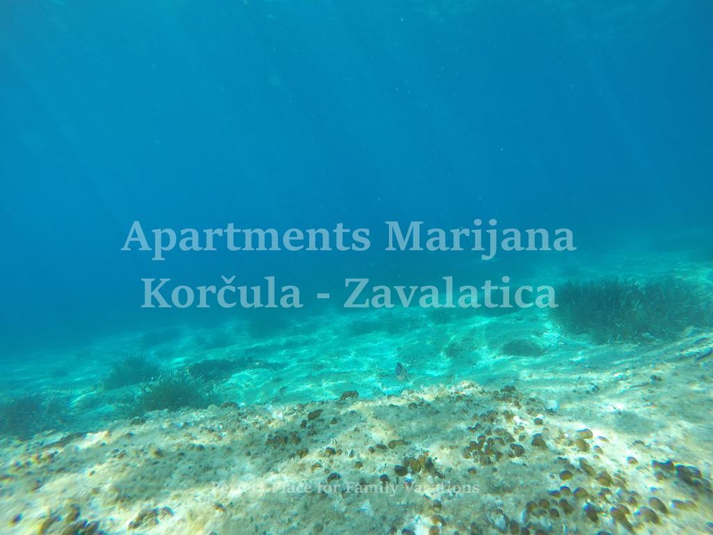 Apartments Marijana Zavalatica Buitenkant foto